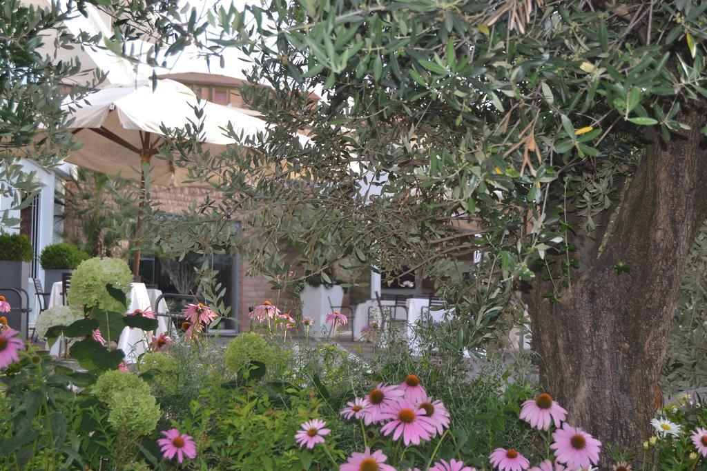 Albergo La Pace Segni Экстерьер фото